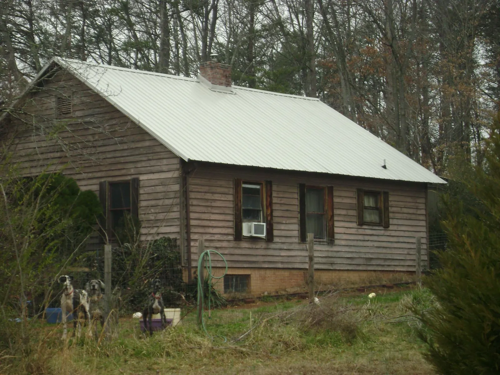 White metal roof on an old wood sided farmhouse, from a Asphalt Shingle Roof Repair job in Eloy